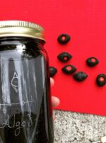 Oil of Algol