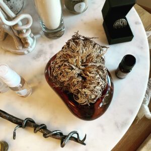 Asclepius 3 Son of Apollo talisman gallery rose of jericho