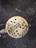 Empress Powder, Incense
