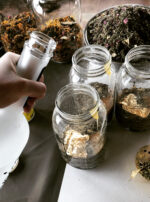 Empress Tincture