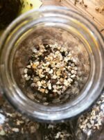 Jupiter in Sagittarius Oil Lamps Process