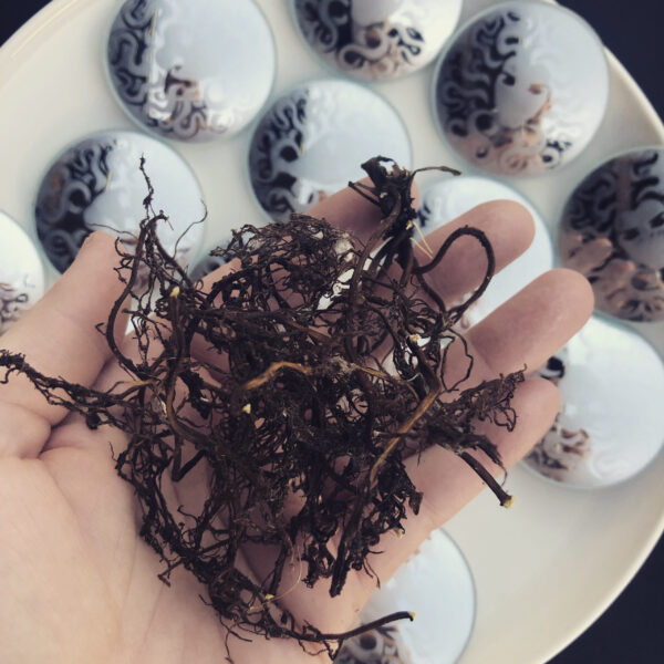 Mother Algol Dried Root Powder Oil Incense Mother Algol Dried Root Powder Oil Incense