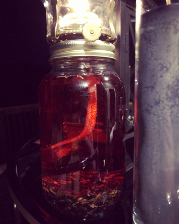 Mother Algol Oil Lantern Red Gallery Mother Algol Oil Lantern Red Gallery