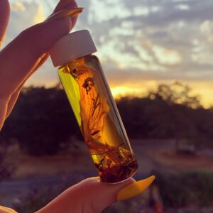 Golden Oil of Sol