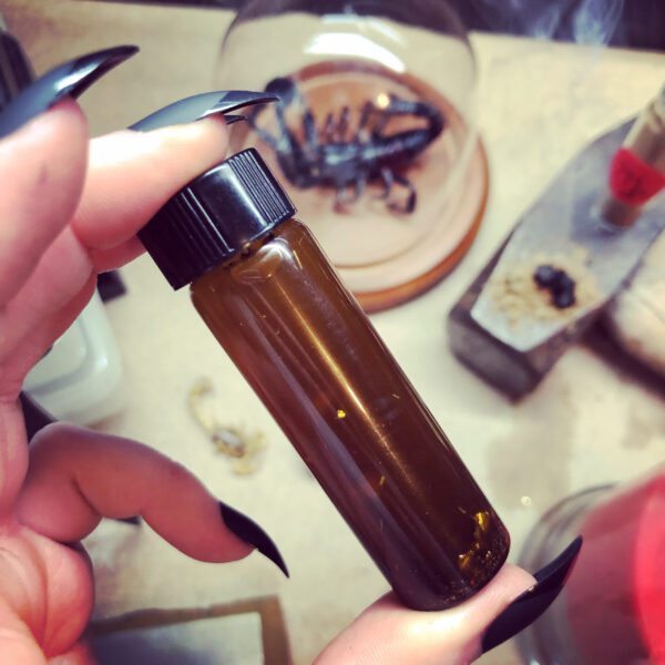 Oil of Scorpion Oil of Scorpion