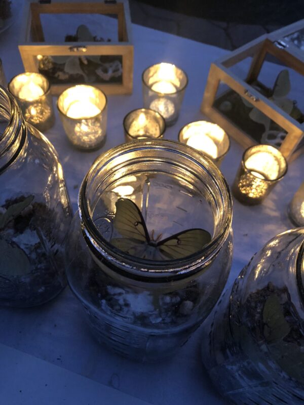 IMG_1607 IMG_1607