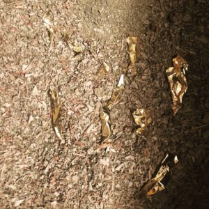 IMG_3715