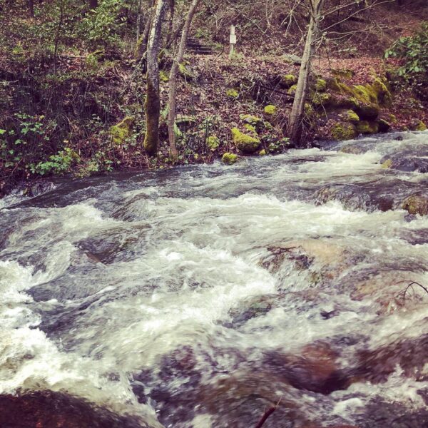 River River