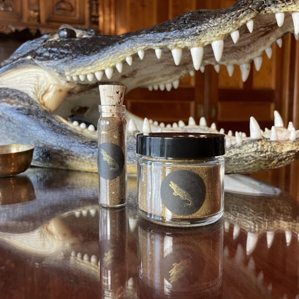 Saturn in Capricorn golden gator powder Saturn in Capricorn golden gator powder