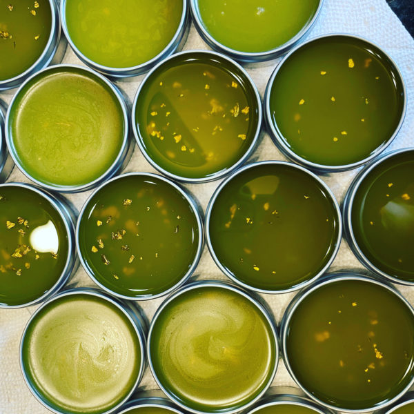 Venus Aerial Delight Libra salves 2 Venus Aerial Delight Libra salves 2