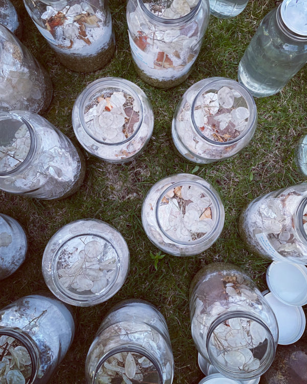 Luna in Cancer creation oil salve body butter above main Luna in Cancer creation oil salve body butter above main