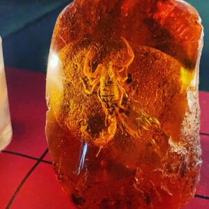 Antares Scorpion Altar Main