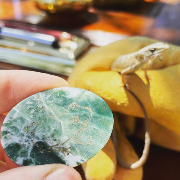 Mercury in Gemini Froggy sync lizard talisman Mercury in Gemini Froggy sync lizard talisman