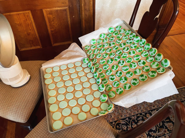 Thema Mundi Cookies Drying Thema Mundi Cookies Drying