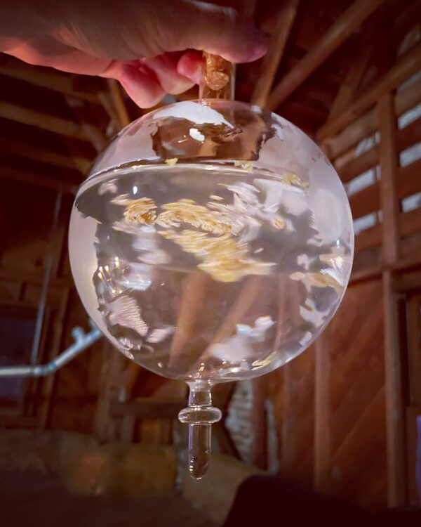 Thema Mundi Globe Luna Thema Mundi Globe Luna