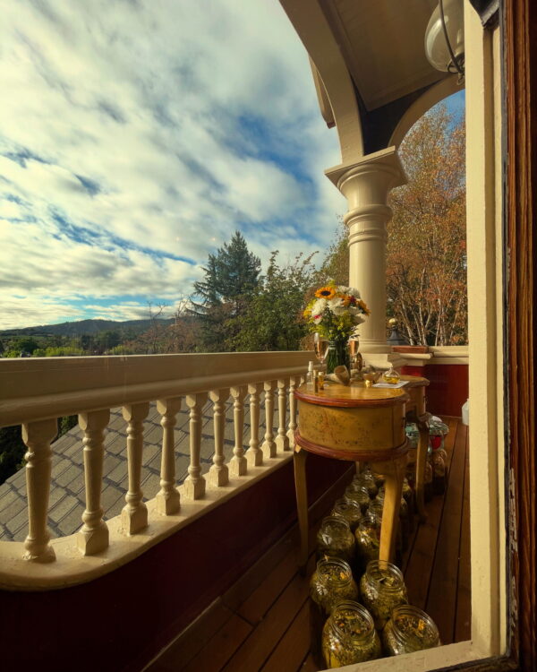 Cloudy Side Window Golden Titan Cloudy Side Window Golden Titan