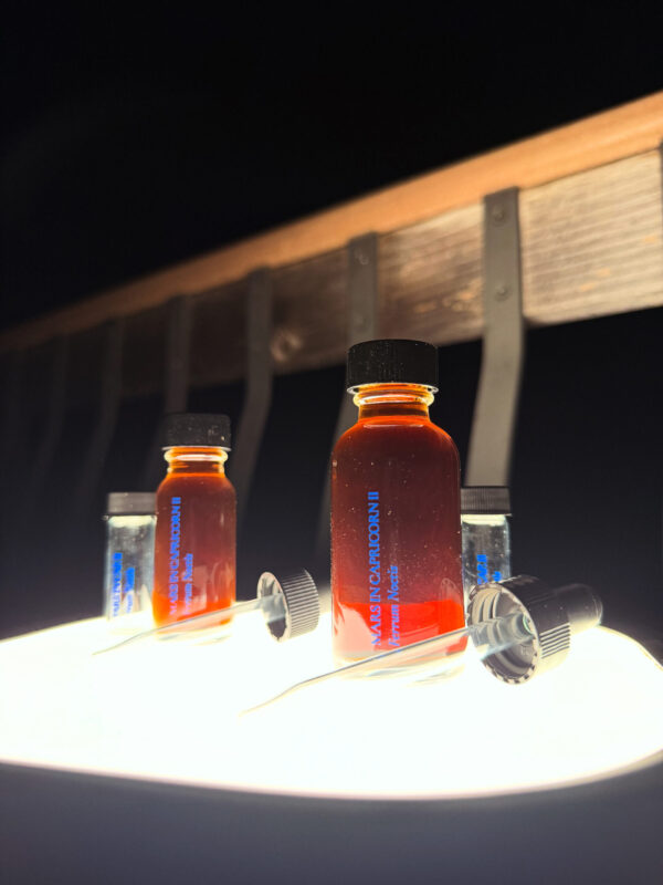 Ferrum Noctis Mars in Capricorn Talismanic Materia Tinctures Again Ferrum Noctis Mars in Capricorn Talismanic Materia Tinctures Again