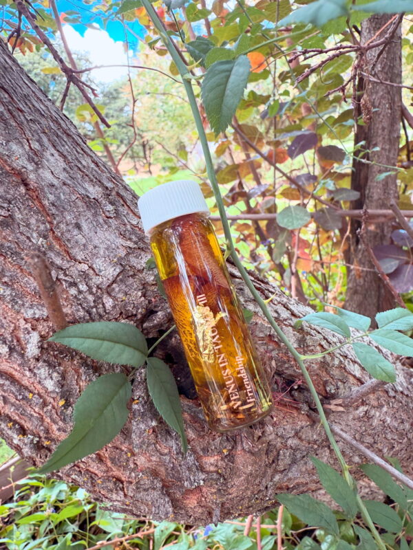 Venus in Taurus Earthly Delights Talismanic Materia Friendship Anointing Oil Venus in Taurus Earthly Delights Talismanic Materia Friendship Anointing Oil