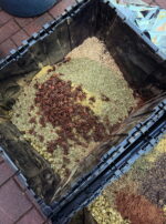 Exalted Jupiter in Cancer Talismanic Materia herbs powder incense