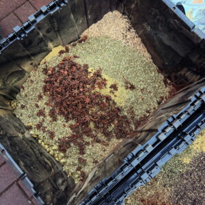 Exalted Jupiter in Cancer Talismanic Materia herbs powder incense