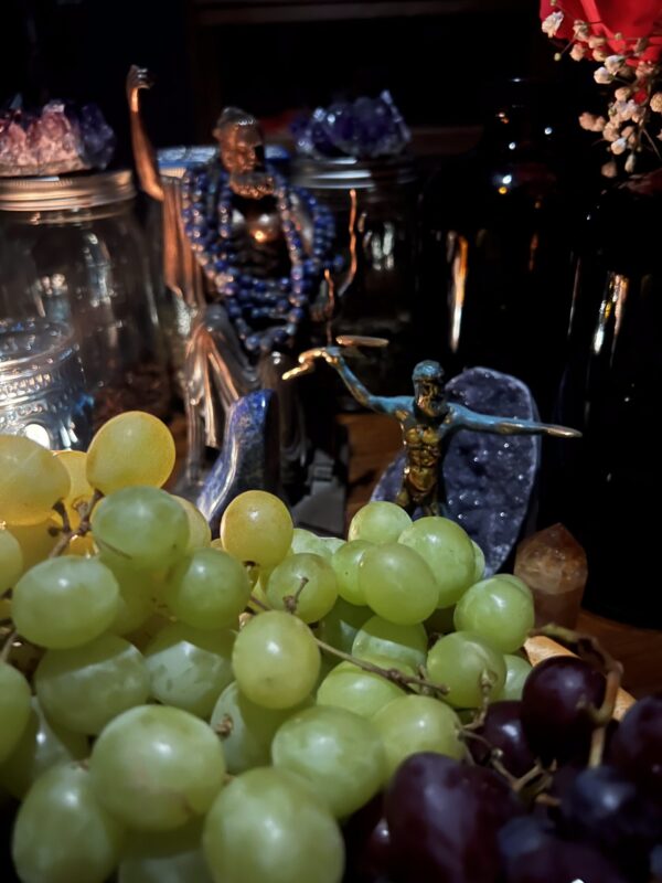IMG_9265 IMG_9265