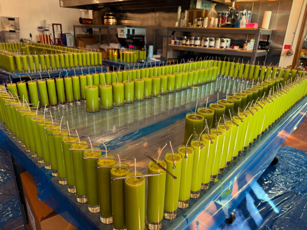 Spica Candles Spica Candles
