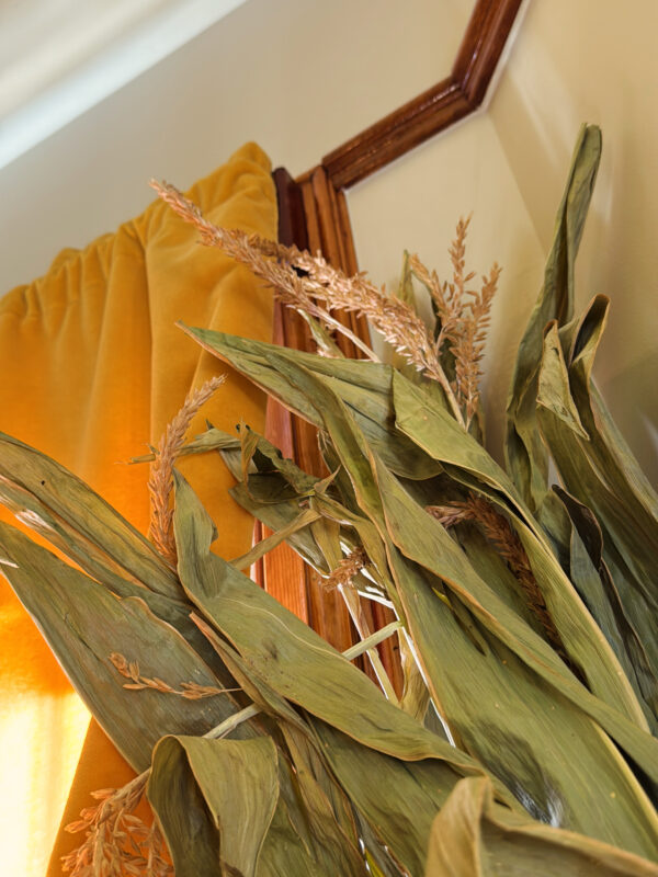 Spica Corn Atmo Vertical Spica Corn Atmo Vertical