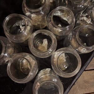 Magnum Mundi Attuning Tincture