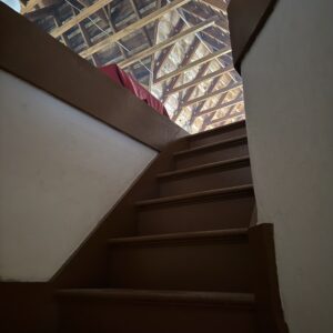 IMG_8917