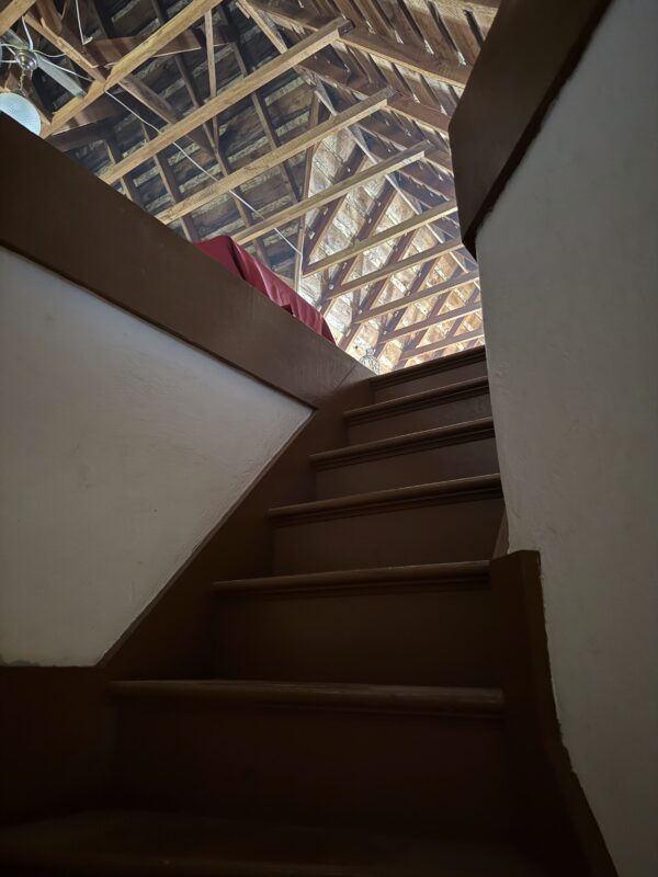 IMG_8917 IMG_8917