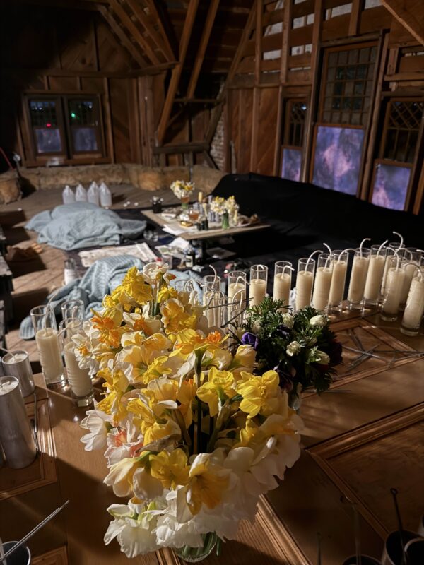 IMG_9944 IMG_9944
