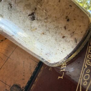 Bath Salts of Thema Mundi Refill